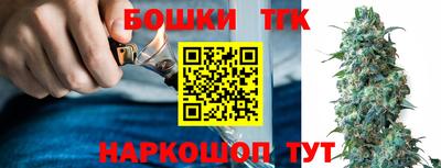 тгк Кинель