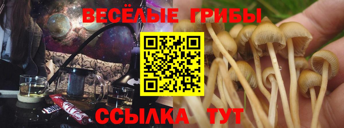 Псилоцибиновые грибы ЛСД Карпинск