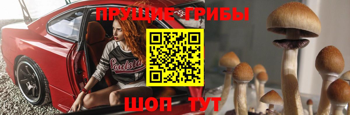 Карпинск  Псилоцибиновые грибы ЛСД  Вход с VPN 
